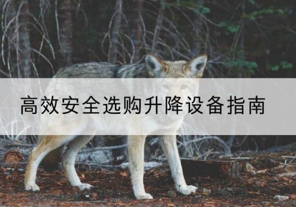 临淄升降货梯厂家推荐-*安全选购升降设备指南