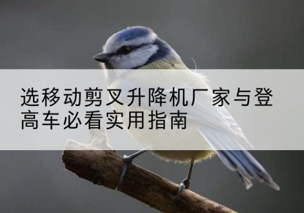 临淄电动升降机厂家-选移动剪叉升降机厂家与登高车必看实用指南
