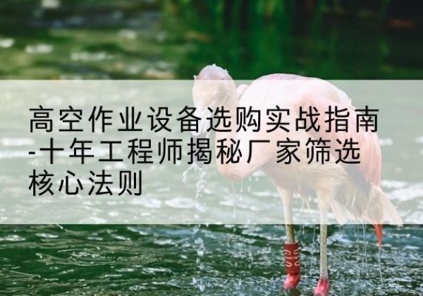 临淄剪叉式升降机厂家-高空作业设备选购实战指南-十年工程师揭秘厂家筛选核心法则