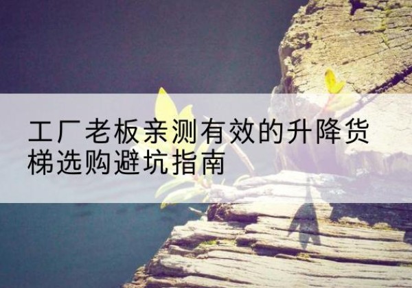 临淄升降货梯怎么选-工厂老板亲测有效的升降货梯选购避坑指南